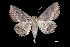  ( - MAL-03501)  @14 [ ] Unspecified (default): All Rights Reserved  Unspecified Unspecified