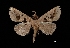 ( - MAL-03491)  @13 [ ] Unspecified (default): All Rights Reserved  Unspecified Unspecified