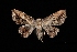  ( - MAL-03510)  @14 [ ] Unspecified (default): All Rights Reserved  Unspecified Unspecified