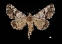  ( - MAL-03492)  @14 [ ] Unspecified (default): All Rights Reserved  Unspecified Unspecified
