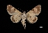  ( - MAL-03492)  @14 [ ] Unspecified (default): All Rights Reserved  Unspecified Unspecified