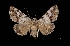  ( - MAL-03493)  @14 [ ] Unspecified (default): All Rights Reserved  Unspecified Unspecified