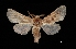  ( - MAL-03531)  @14 [ ] Unspecified (default): All Rights Reserved  Unspecified Unspecified