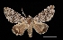  ( - MAL-03535)  @14 [ ] Unspecified (default): All Rights Reserved  Unspecified Unspecified