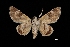  ( - MAL-03535)  @14 [ ] Unspecified (default): All Rights Reserved  Unspecified Unspecified