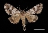  ( - MAL-03542)  @14 [ ] Unspecified (default): All Rights Reserved  Unspecified Unspecified