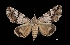  ( - MAL-03544)  @14 [ ] Unspecified (default): All Rights Reserved  Unspecified Unspecified