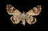  ( - MAL-03544)  @14 [ ] Unspecified (default): All Rights Reserved  Unspecified Unspecified