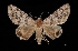  ( - MAL-03496)  @14 [ ] Unspecified (default): All Rights Reserved  Unspecified Unspecified