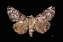  ( - MAL-03539)  @14 [ ] Unspecified (default): All Rights Reserved  Unspecified Unspecified
