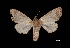 ( - MAL-03489)  @13 [ ] Unspecified (default): All Rights Reserved  Unspecified Unspecified