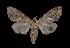  ( - MAL-03490)  @13 [ ] Unspecified (default): All Rights Reserved  Unspecified Unspecified