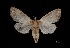  ( - MAL-03490)  @13 [ ] Unspecified (default): All Rights Reserved  Unspecified Unspecified