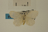  ( - USNM ENT 00934039)  @13 [ ] Unspecified (default): All Rights Reserved  Unspecified Unspecified