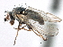  ( - CCDB-21321-C10)  @11 [ ] CreativeCommons - Attribution (2014) CBG Photography Group Centre for Biodiversity Genomics