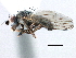  ( - CCDB-21321-D01)  @15 [ ] CreativeCommons - Attribution (2014) CBG Photography Group Centre for Biodiversity Genomics
