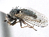  ( - CCDB-21321-D02)  @11 [ ] CreativeCommons - Attribution (2014) CBG Photography Group Centre for Biodiversity Genomics