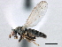  (Plunomia elegans - CCDB-21321-D12)  @15 [ ] CreativeCommons - Attribution (2014) CBG Photography Group Centre for Biodiversity Genomics
