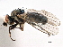 ( - CCDB-21321-E03)  @11 [ ] CreativeCommons - Attribution (2014) CBG Photography Group Centre for Biodiversity Genomics
