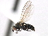  ( - CCDB-21321-E04)  @11 [ ] CreativeCommons - Attribution (2014) CBG Photography Group Centre for Biodiversity Genomics