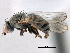  ( - CCDB-21321-E07)  @15 [ ] CreativeCommons - Attribution (2014) CBG Photography Group Centre for Biodiversity Genomics