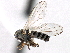  ( - CCDB-21321-E10)  @12 [ ] CreativeCommons - Attribution (2014) CBG Photography Group Centre for Biodiversity Genomics