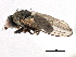  ( - CCDB-21321-E12)  @11 [ ] CreativeCommons - Attribution (2014) CBG Photography Group Centre for Biodiversity Genomics
