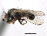  ( - CCDB-21321-F02)  @11 [ ] CreativeCommons - Attribution (2014) CBG Photography Group Centre for Biodiversity Genomics