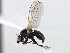  ( - CCDB-21321-F05)  @11 [ ] CreativeCommons - Attribution (2014) CBG Photography Group Centre for Biodiversity Genomics