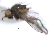  ( - CCDB-21326-B03)  @11 [ ] CreativeCommons - Attribution (2014) CBG Photography Group Centre for Biodiversity Genomics