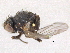  ( - CCDB-21326-B06)  @11 [ ] CreativeCommons - Attribution (2014) CBG Photography Group Centre for Biodiversity Genomics