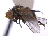  ( - CCDB-21326-B08)  @11 [ ] CreativeCommons - Attribution (2014) CBG Photography Group Centre for Biodiversity Genomics
