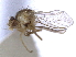  ( - CCDB-21326-C11)  @11 [ ] CreativeCommons - Attribution (2014) CBG Photography Group Centre for Biodiversity Genomics