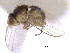 ( - CCDB-21326-D02)  @11 [ ] CreativeCommons - Attribution (2014) CBG Photography Group Centre for Biodiversity Genomics