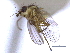  ( - CCDB-21326-D09)  @11 [ ] CreativeCommons - Attribution (2014) CBG Photography Group Centre for Biodiversity Genomics