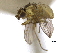  ( - CCDB-21326-D12)  @11 [ ] CreativeCommons - Attribution (2014) CBG Photography Group Centre for Biodiversity Genomics