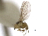  ( - CCDB-21326-E03)  @11 [ ] CreativeCommons - Attribution (2014) CBG Photography Group Centre for Biodiversity Genomics