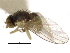  ( - CCDB-21326-E11)  @11 [ ] CreativeCommons - Attribution (2014) CBG Photography Group Centre for Biodiversity Genomics