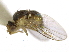  ( - CCDB-21326-F02)  @11 [ ] CreativeCommons - Attribution (2014) CBG Photography Group Centre for Biodiversity Genomics