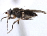  ( - CCDB-21328-A02)  @13 [ ] CreativeCommons - Attribution (2014) CBG Photography Group Centre for Biodiversity Genomics