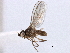  ( - CCDB-21328-A03)  @11 [ ] CreativeCommons - Attribution (2014) CBG Photography Group Centre for Biodiversity Genomics
