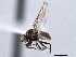  ( - CCDB-21328-A08)  @15 [ ] CreativeCommons - Attribution (2014) CBG Photography Group Centre for Biodiversity Genomics