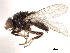  ( - CCDB-21328-B08)  @13 [ ] CreativeCommons - Attribution (2014) CBG Photography Group Centre for Biodiversity Genomics