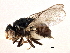  ( - CCDB-21328-B09)  @11 [ ] CreativeCommons - Attribution (2014) CBG Photography Group Centre for Biodiversity Genomics