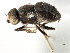  ( - CCDB-21328-C01)  @11 [ ] CreativeCommons - Attribution (2014) CBG Photography Group Centre for Biodiversity Genomics