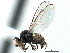  ( - CCDB-21328-D04)  @11 [ ] CreativeCommons - Attribution (2014) CBG Photography Group Centre for Biodiversity Genomics