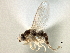  ( - CCDB-21328-E04)  @11 [ ] CreativeCommons - Attribution (2014) CBG Photography Group Centre for Biodiversity Genomics