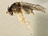 ( - CCDB-21328-E05)  @13 [ ] CreativeCommons - Attribution (2014) CBG Photography Group Centre for Biodiversity Genomics