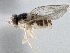  ( - CCDB-21328-E06)  @11 [ ] CreativeCommons - Attribution (2014) CBG Photography Group Centre for Biodiversity Genomics
