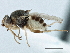  ( - CCDB-21328-F08)  @11 [ ] CreativeCommons - Attribution (2014) CBG Photography Group Centre for Biodiversity Genomics